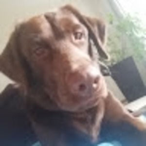 Meet your Posher, Braxton